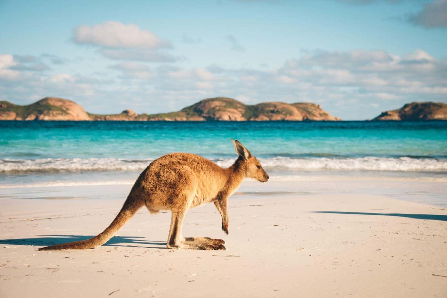 Cover Image for Australien statt Kongo: BMW setzt nachhaltigeren Rohstoff-Einkauf um