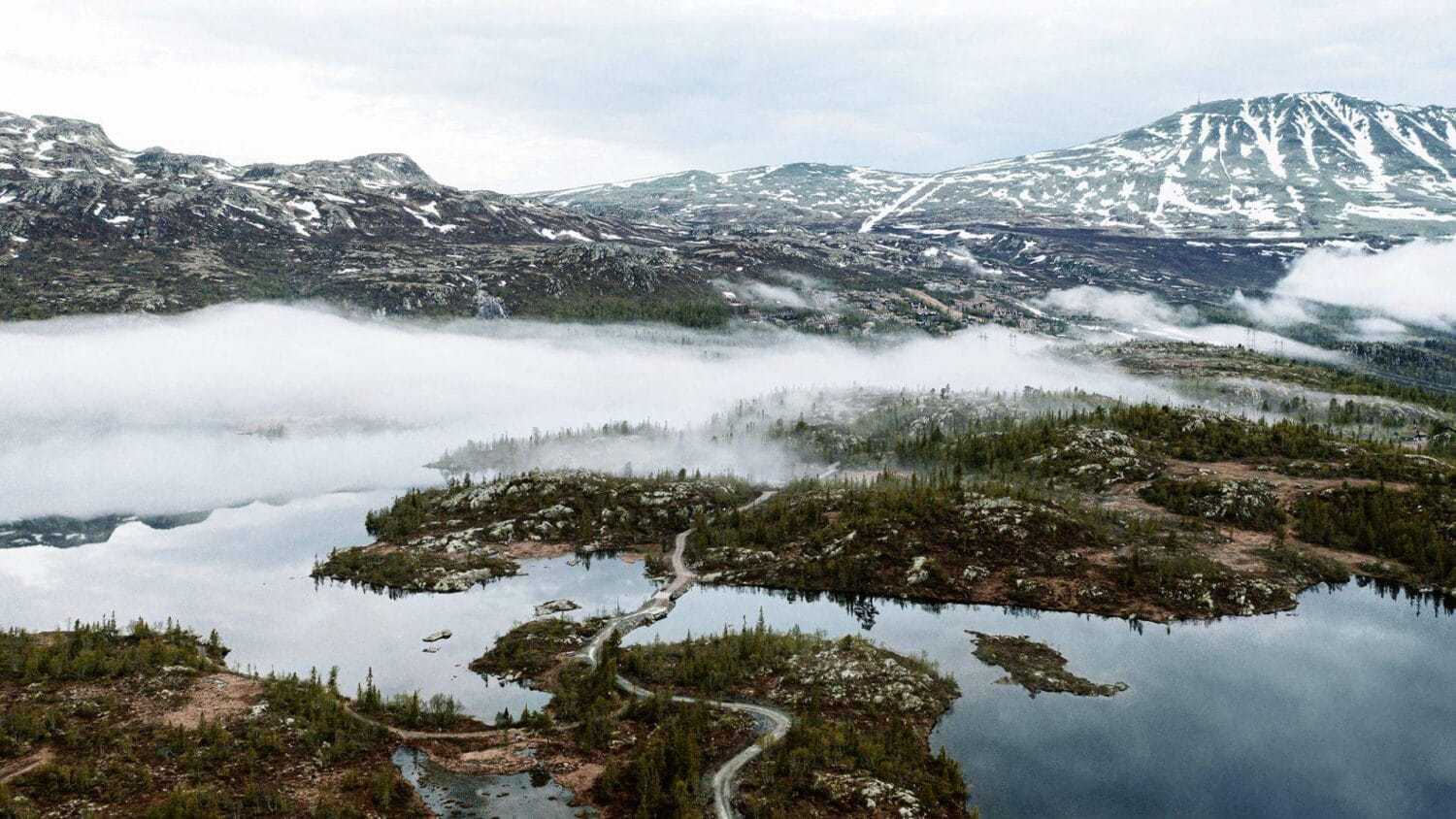 Cover Image for Stefan Sommer, VW-Einkaufsvorstand: „CO2 zu reduzieren ist keine Raketenwissenschaft“