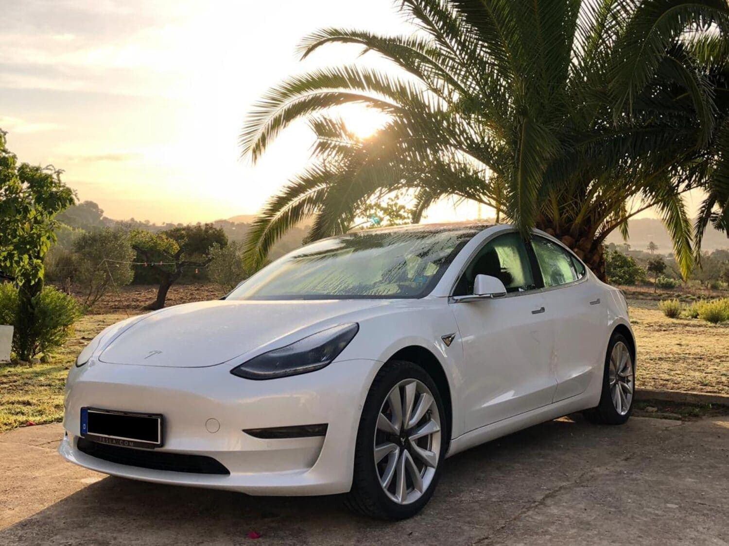 Cover Image for Roadtriperfahrung: Mit dem Elektroauto nach Mallorca