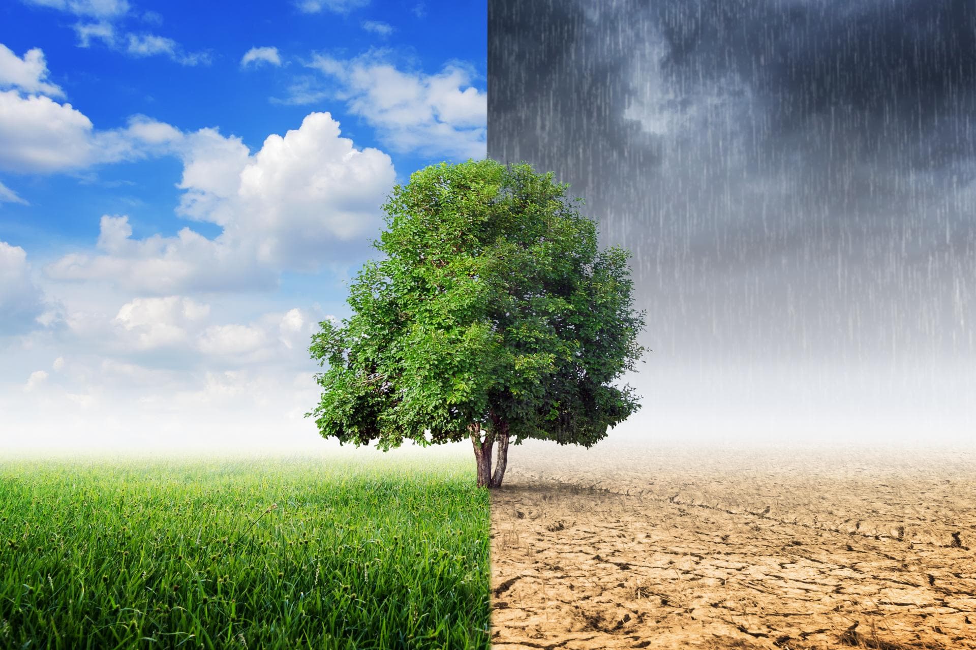Cover Image for Klimawandel und was man über diesen Wissen sollte!