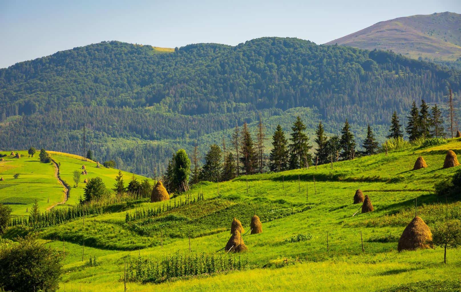 Cover Image for Österreich erhöht Förderungen für E-Mobilität und Ladeinfrastruktur deutlich