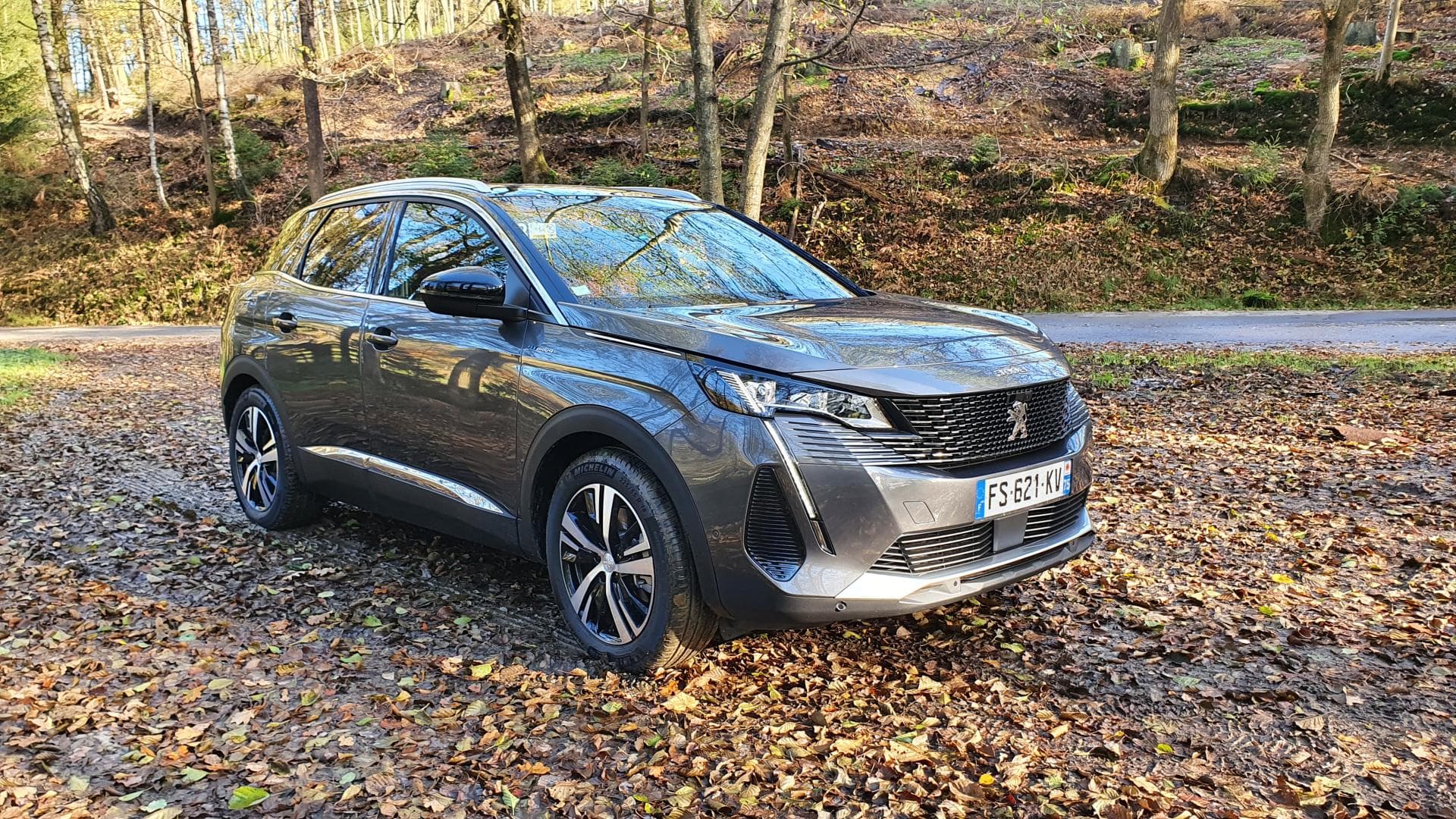 Cover Image for Peugeot 3008 Plug-In-Hybrid: Löwenherz mal zwei