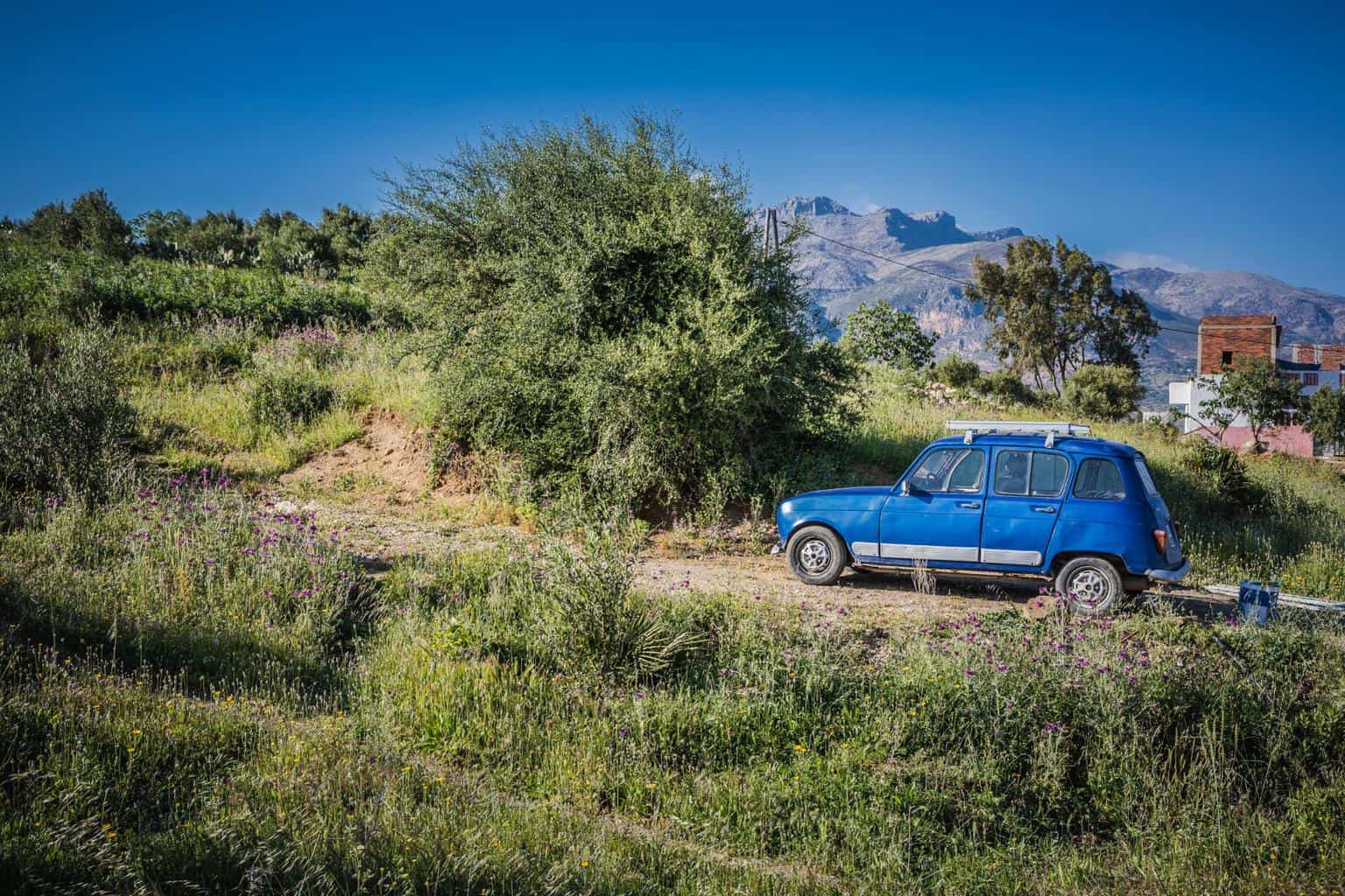 Cover Image for Gerüchte: Renault 4 mit Potential zum Kultstromer in Serie angedacht