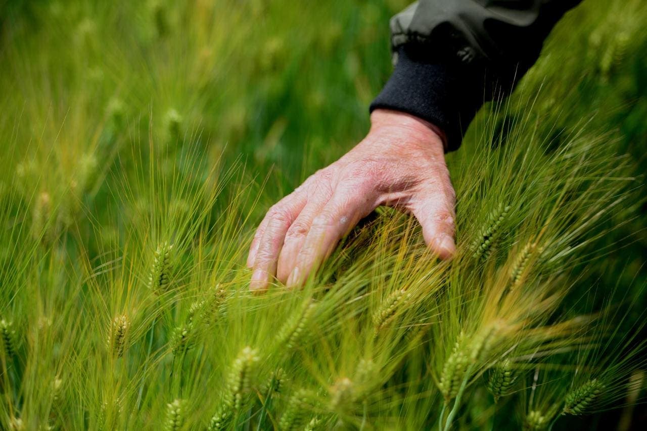 Cover Image for GM richtet 25 Millionen US-Dollar schweren Fonds für Klimaschutzmaßnahmen ein