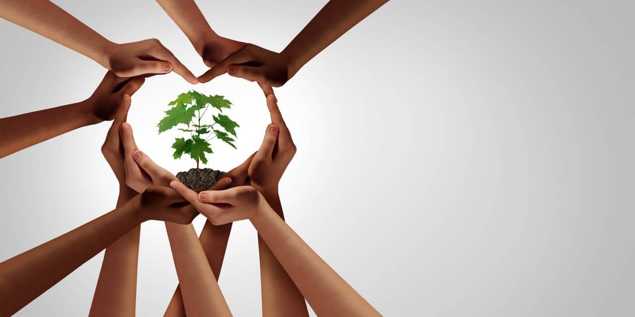 Cover Image for „Einzigartige Chance, weltweites Beispiel für Klimaschutz und Wirtschaftswachstum zu werden“