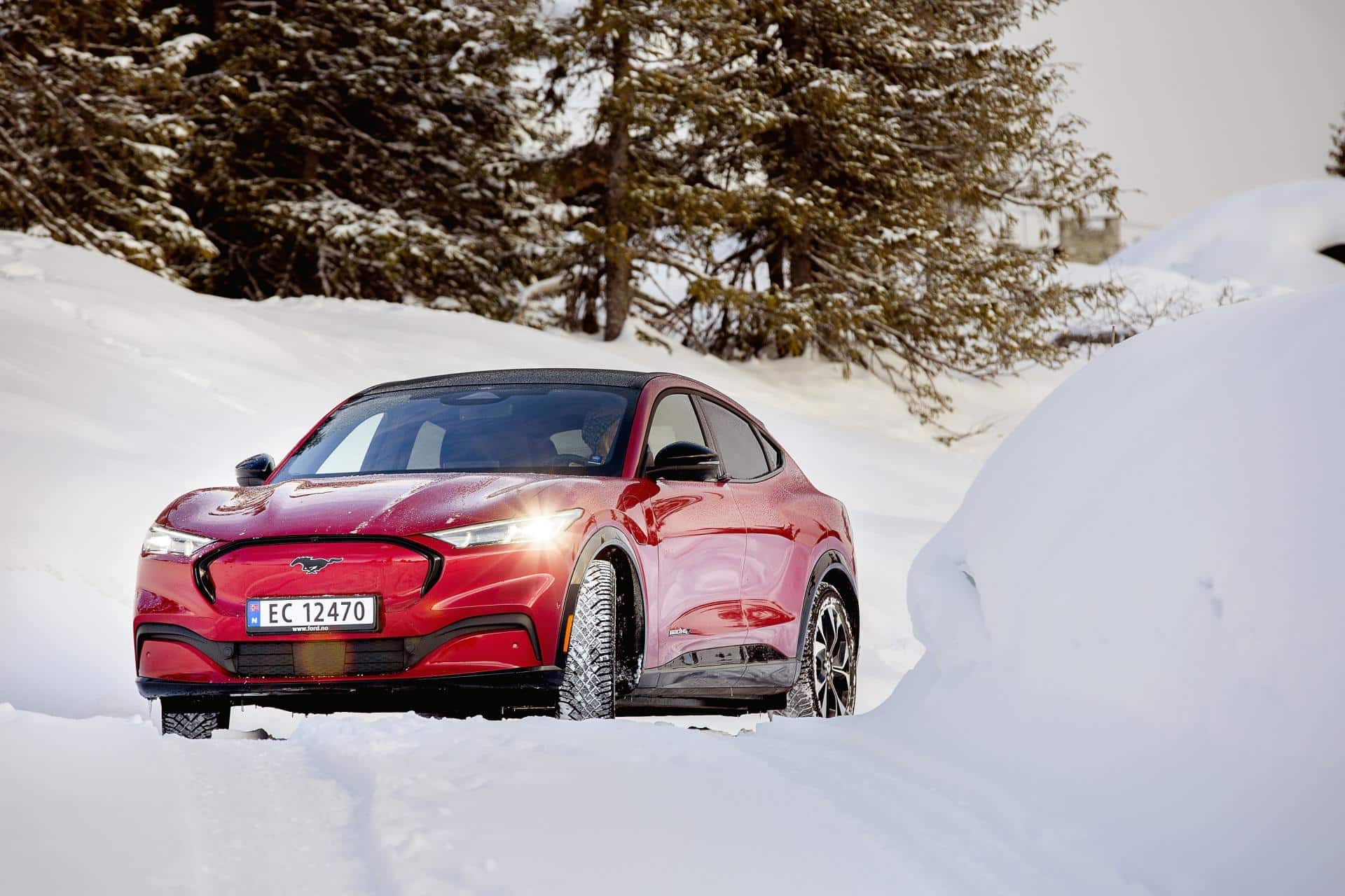 Cover Image for Ford-CEO sieht Tesla unter Druck agieren