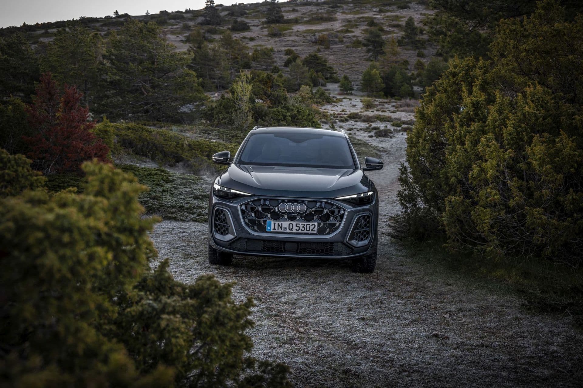 Cover Image for Audi Q5 startet mit neuer Plattform und PHEV-Power