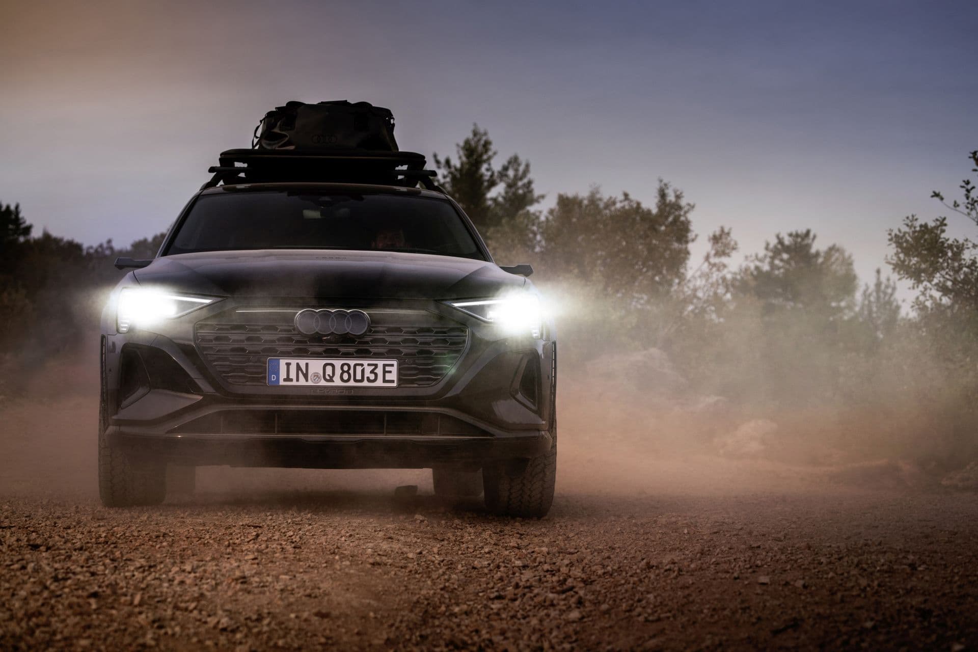 Cover Image for Audi Q8 e-tron auf dem Abstellgleis