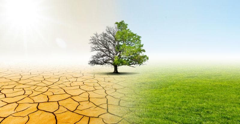 Cover Image for CDU fordert „starkes Klimaschutzgesetz als Gesamtkonzept mit glaubwürdigen Maßnahmen und wirksamen Instrumenten“