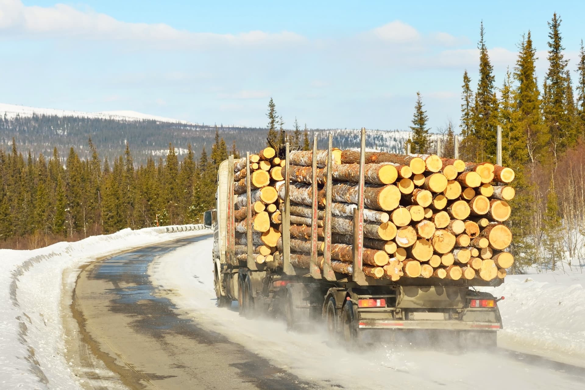 Cover Image for Holz zu Akkus: Uni Jena forscht an Lignin-Batterien