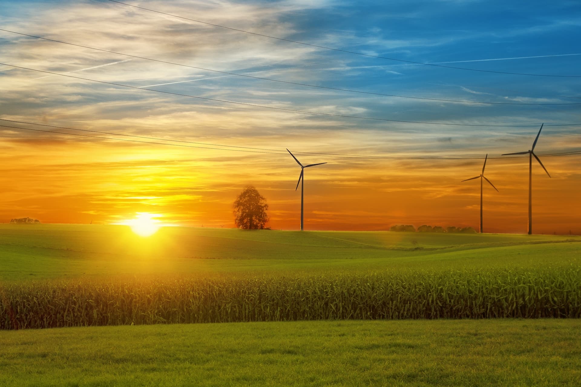 Cover Image for Erstes Halbjahr 2024: Erneuerbare Stromerzeugung steigt weiter deutlich