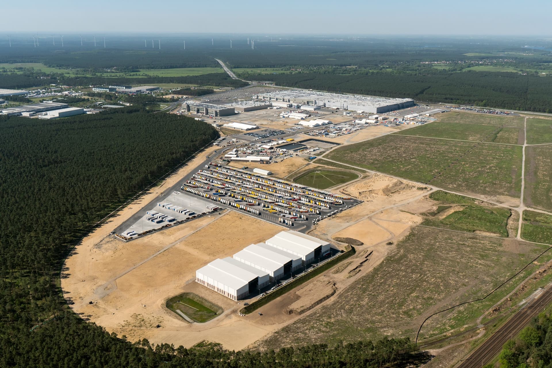 Cover Image for Für welchen „Wald“ kämpfen Grünheides Tesla-Gegner überhaupt?