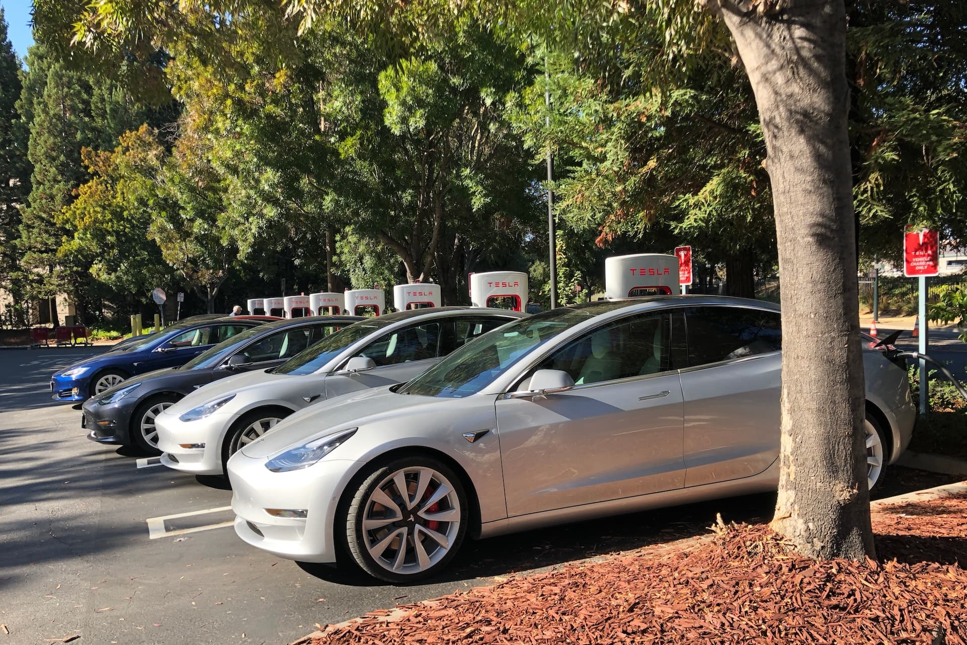 Cover Image for Auch in den USA ist der E-Auto-Absatz auf Rekordkurs