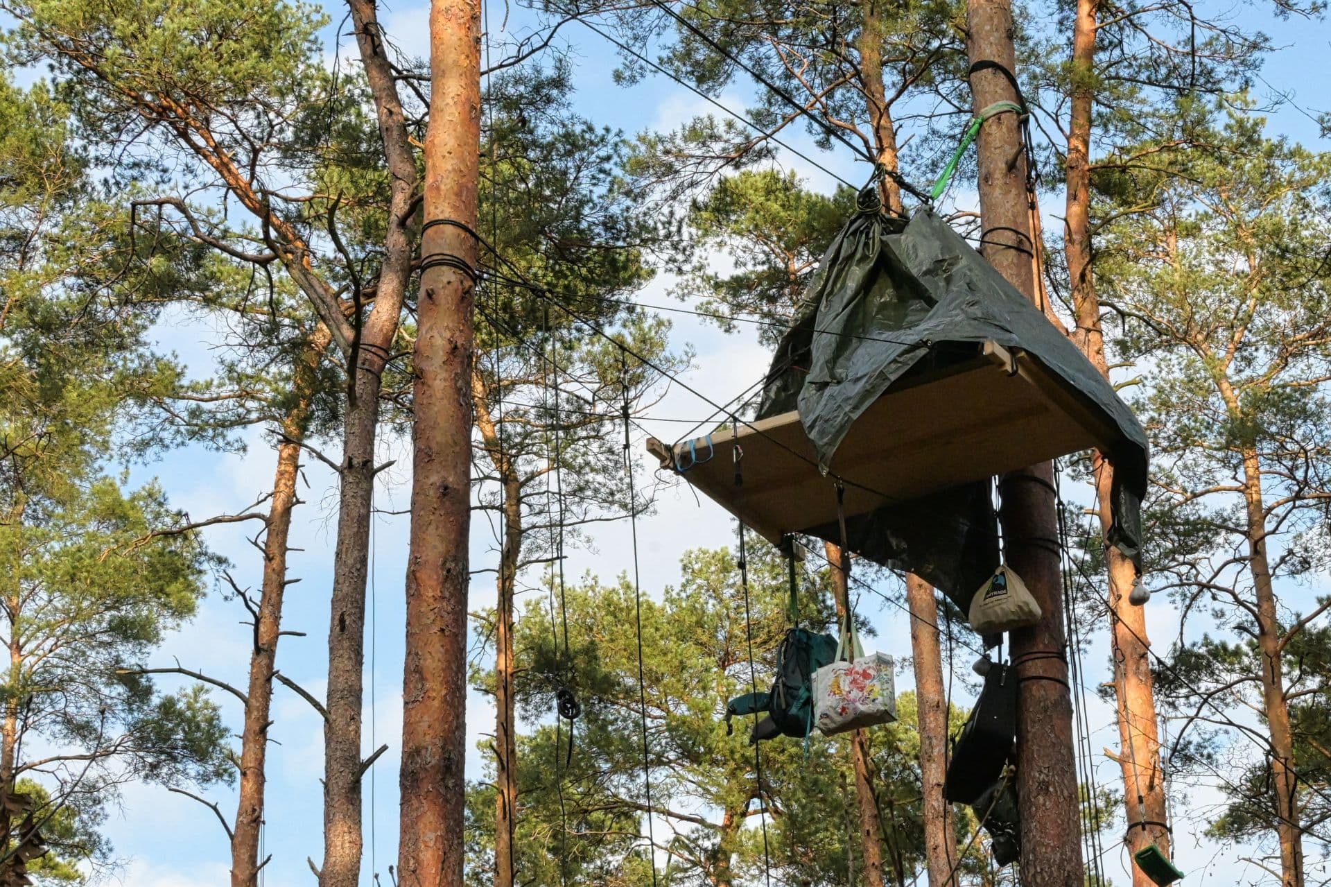 Cover Image for Polizei räumt Protestcamp gegen Tesla in Grünheide