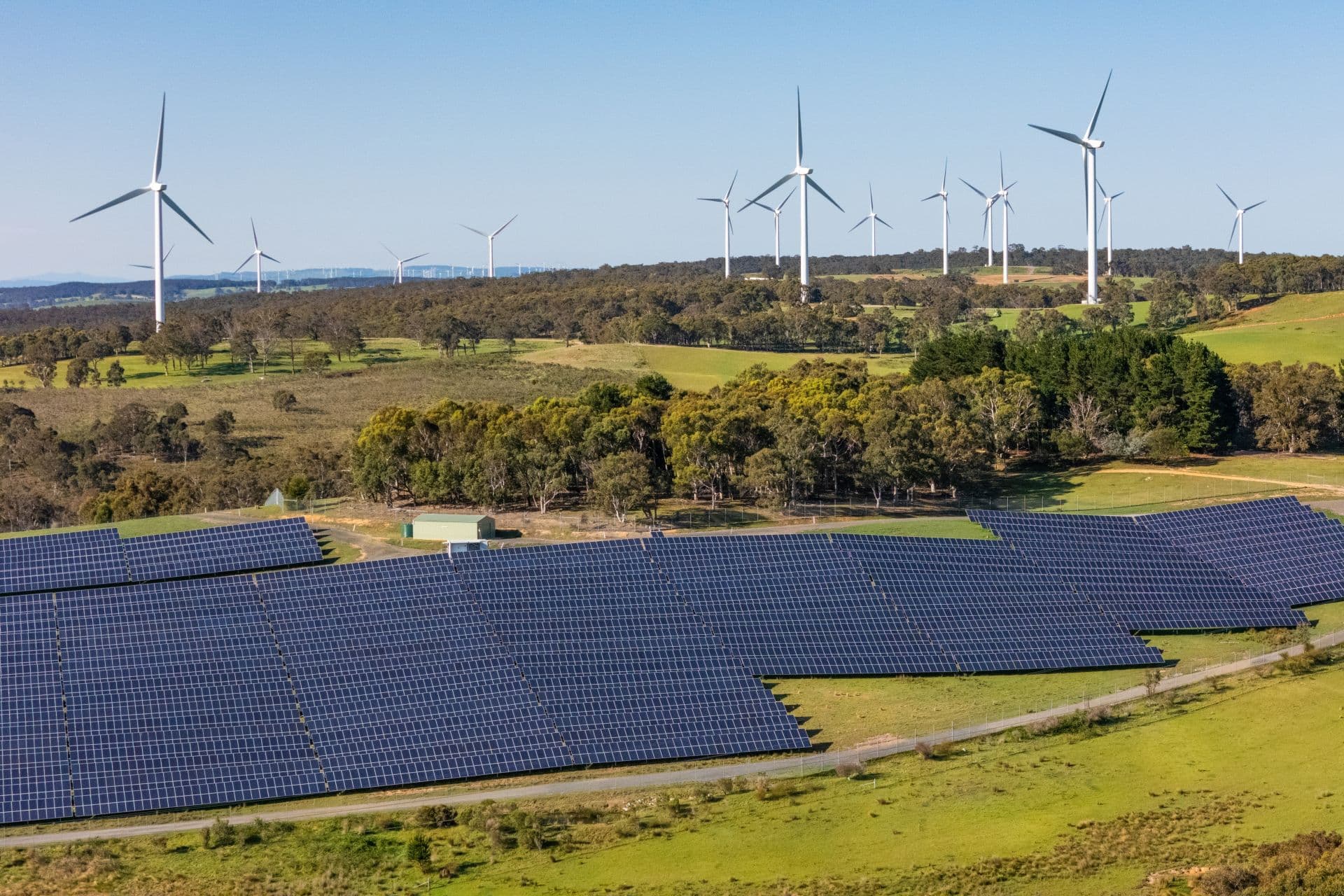 Cover Image for IEA: Erneuerbare Energien wachsen weltweit am schnellsten