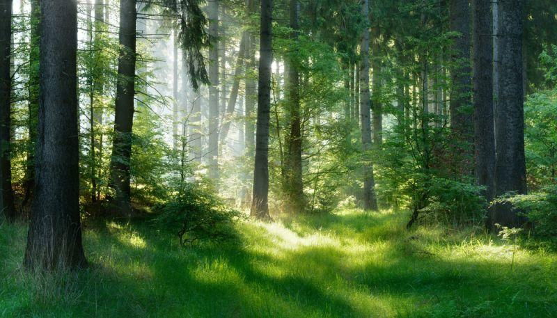 GreenPack öffnet sich anderen Akkus