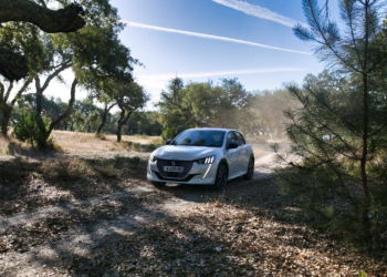 Peugeot e-208 - Test- und Erfahrungsbericht