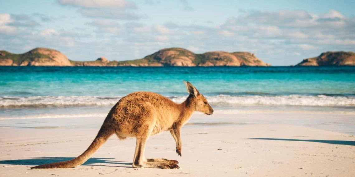 BMW setzt auf Australien, nicht mehr Kongo