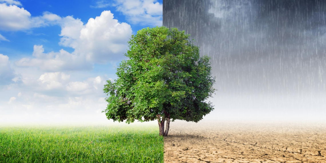 Klimawandel