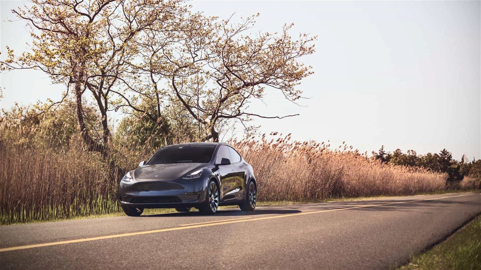 Tesla baut auch Model-Y-Produktionshallen in Shanghai in Rekordzeit auf