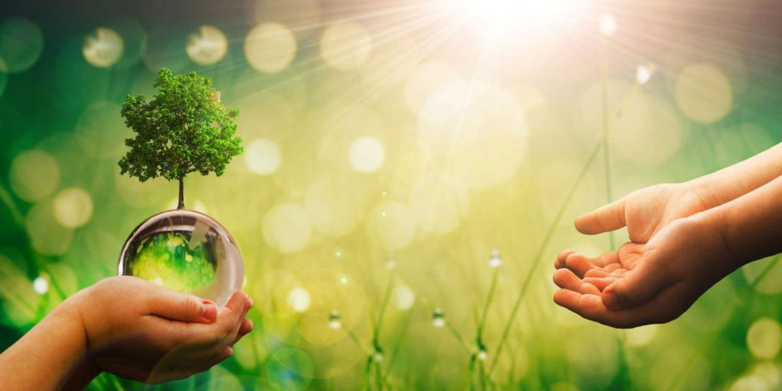Breites Bündnis fordert schnelle Einführung einer Klimaprämie