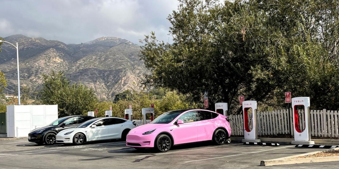 Tesla Auftragsbestand um rund zwei Drittel eingebrochen