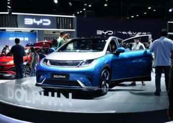 BYD Dolphin Frontansicht