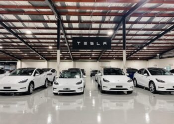 Tesla-Flotte im Alltag: Novicons positive Bilanz