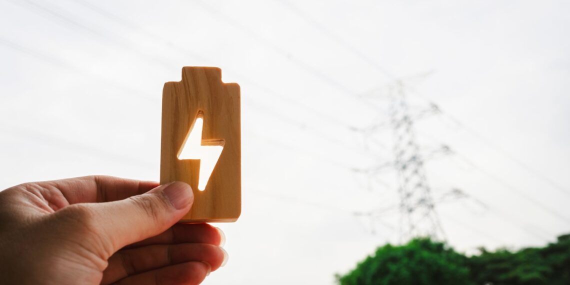 The Mobility House: Batteriespeicher gegen Netzengpässe