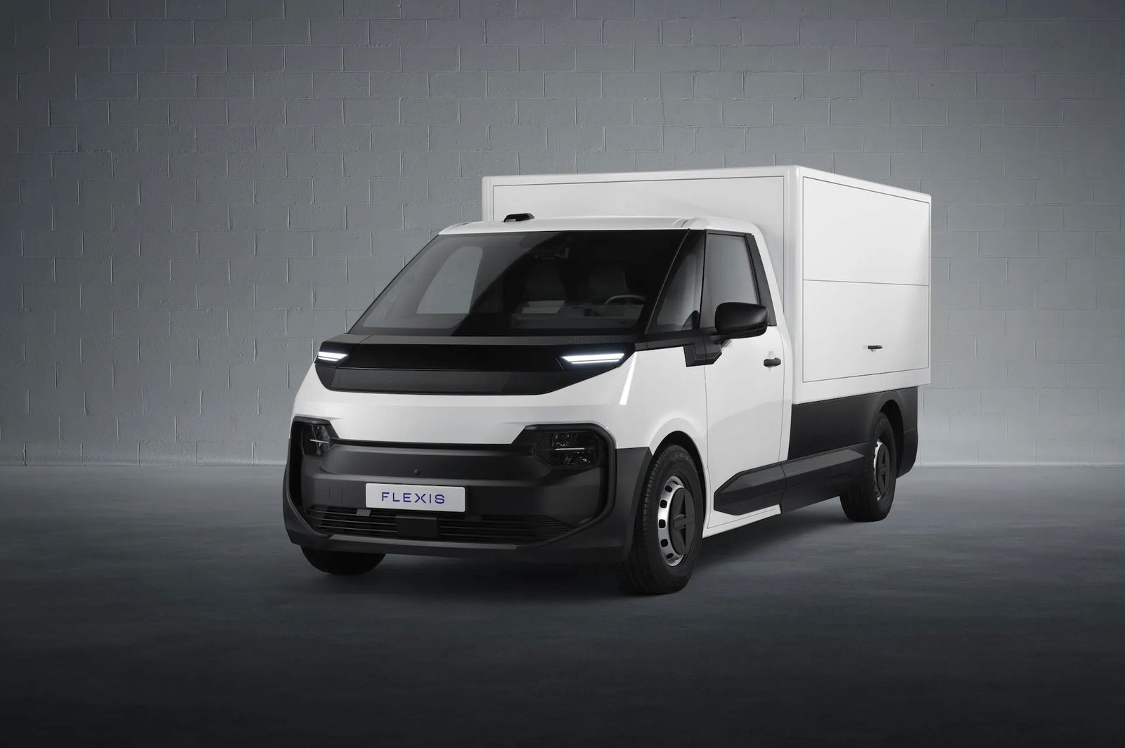 Flexis-Elektrotransporter-cargo-van