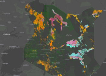 PtX-Atlas zeigt Potenziale für grünen Wasserstoff in Kenia